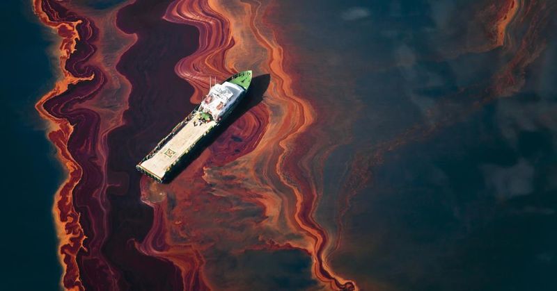 mare inquinato dal petrolio 